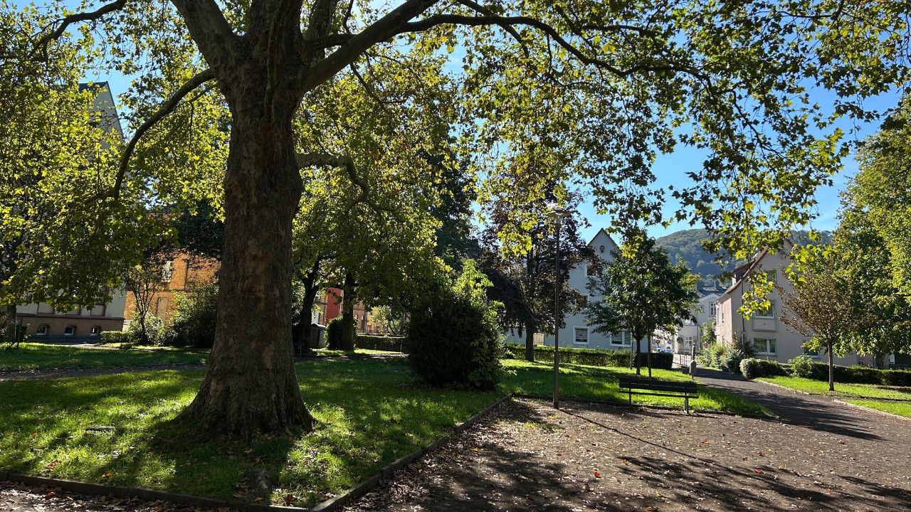 Neuer Wochenmarkt in Lahnstein bringt frische Vielfalt in den Schillerpark