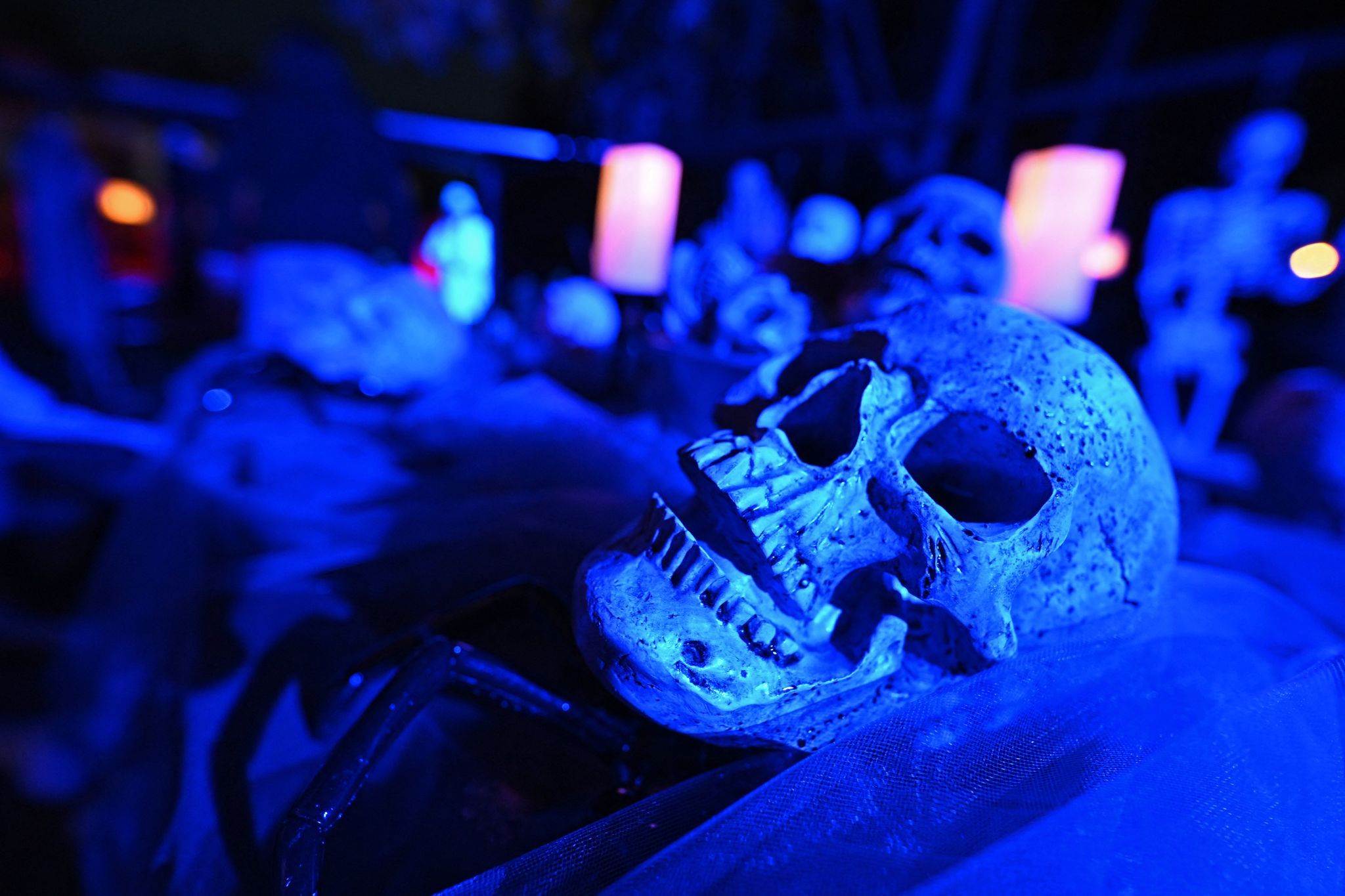 Halloween in Rheinland-Pfalz: Ausflüge mit Gruselfaktor