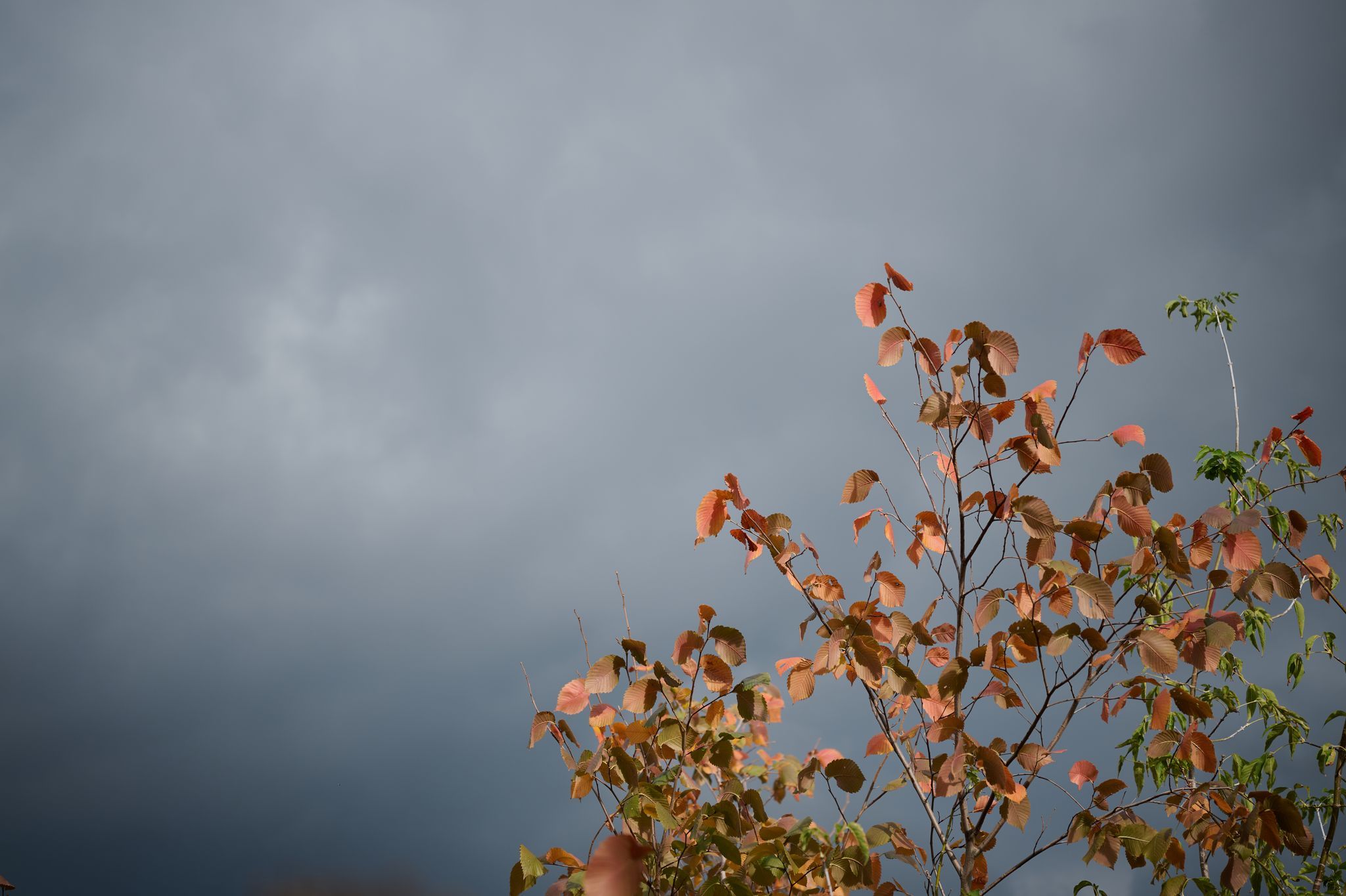 Dicke Wolken und teilweise Regen Dicke Wolken und teilweise Regen