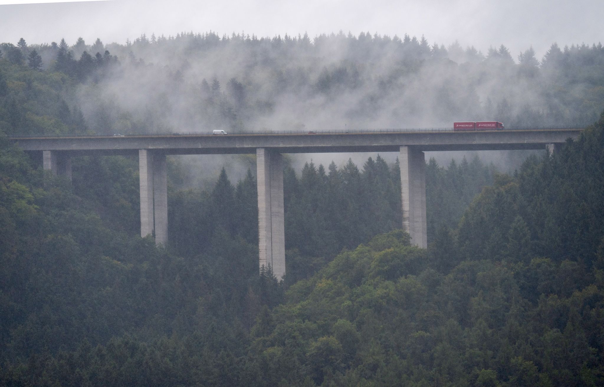 Nebliges Wetter in Rheinland-Pfalz und im Saarland