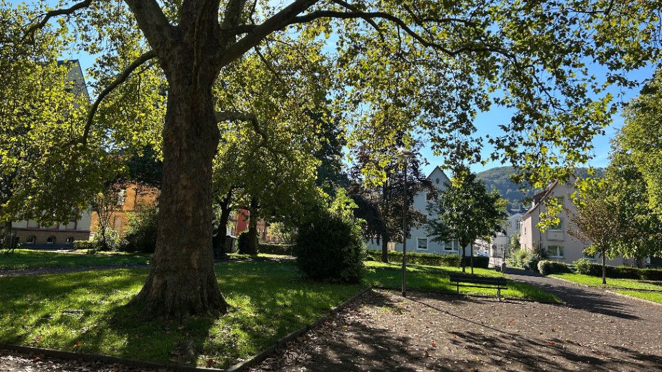 Neuer Wochenmarkt in Lahnstein bringt frische Vielfalt in den Schillerpark Neuer Wochenmarkt in Lahnstein bringt frische Vielfalt in den Schillerpark