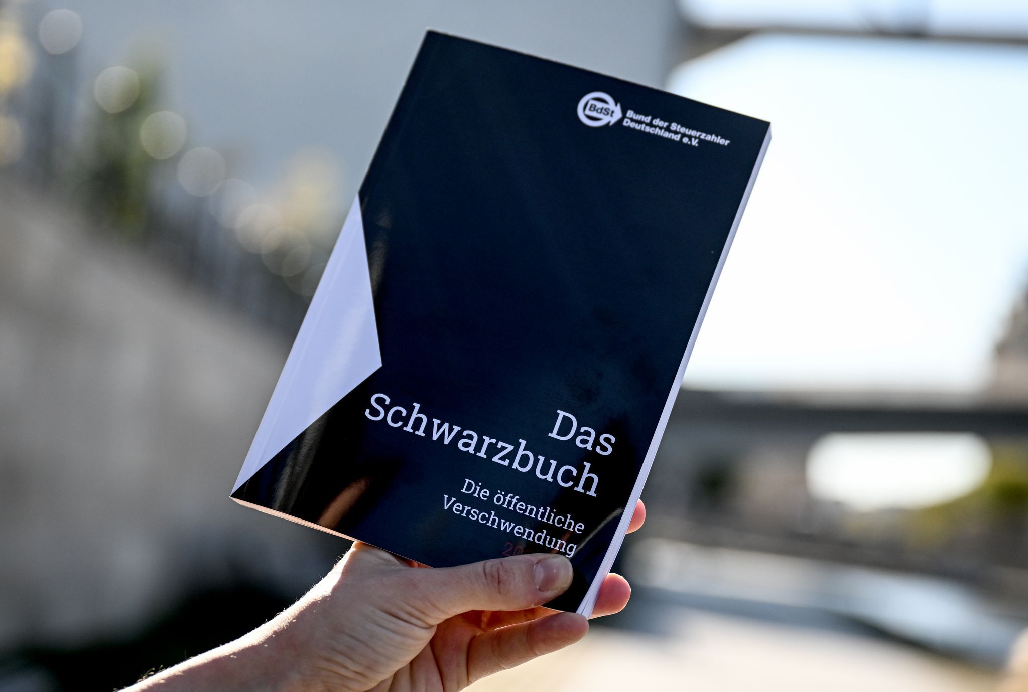 Rotlichtcontainer und Radturm – Steuerzahlerbund übt Kritik