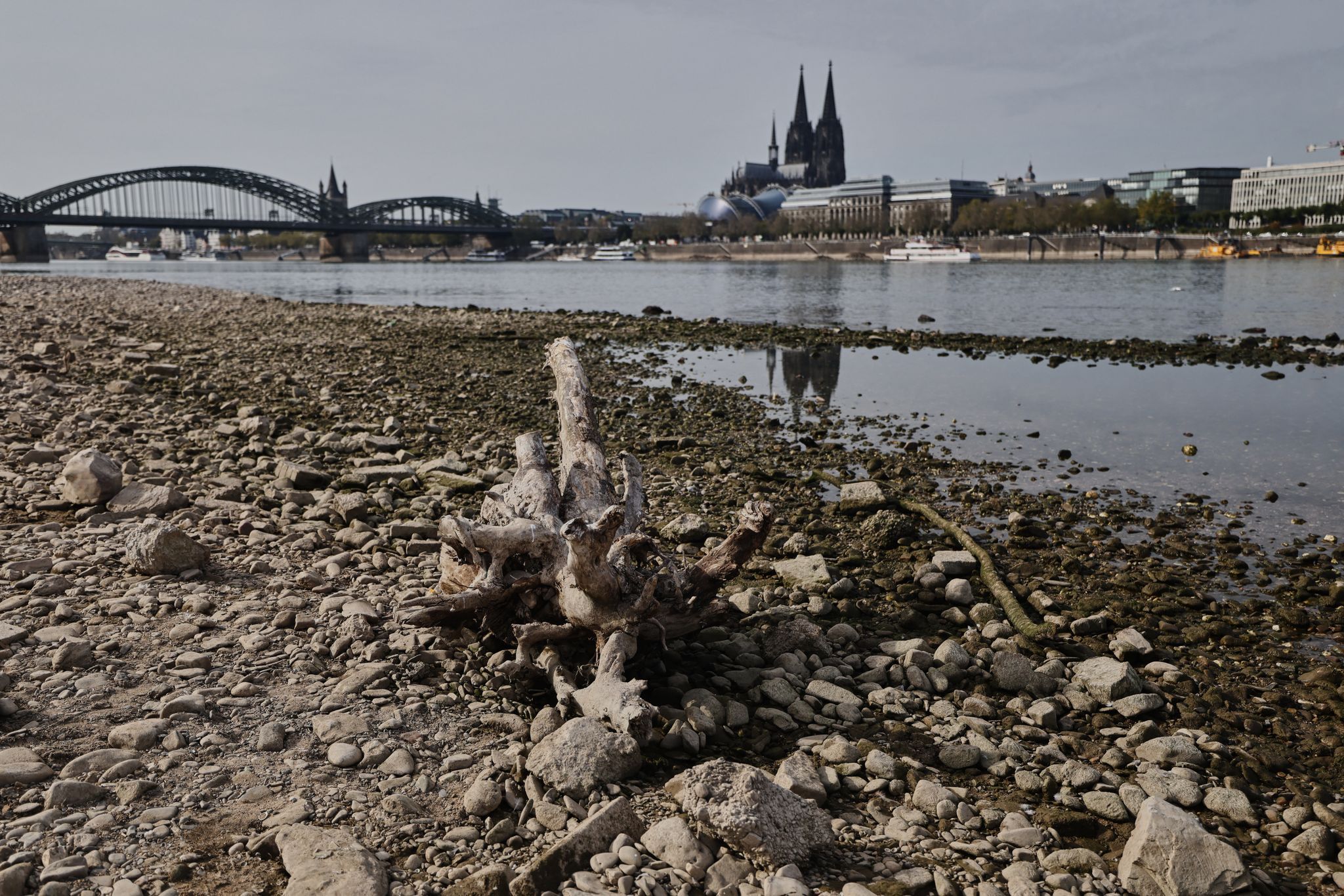 Extremes Niedrigwasser «lässt sich nicht wegbaggern» Extremes Niedrigwasser «lässt sich nicht wegbaggern»