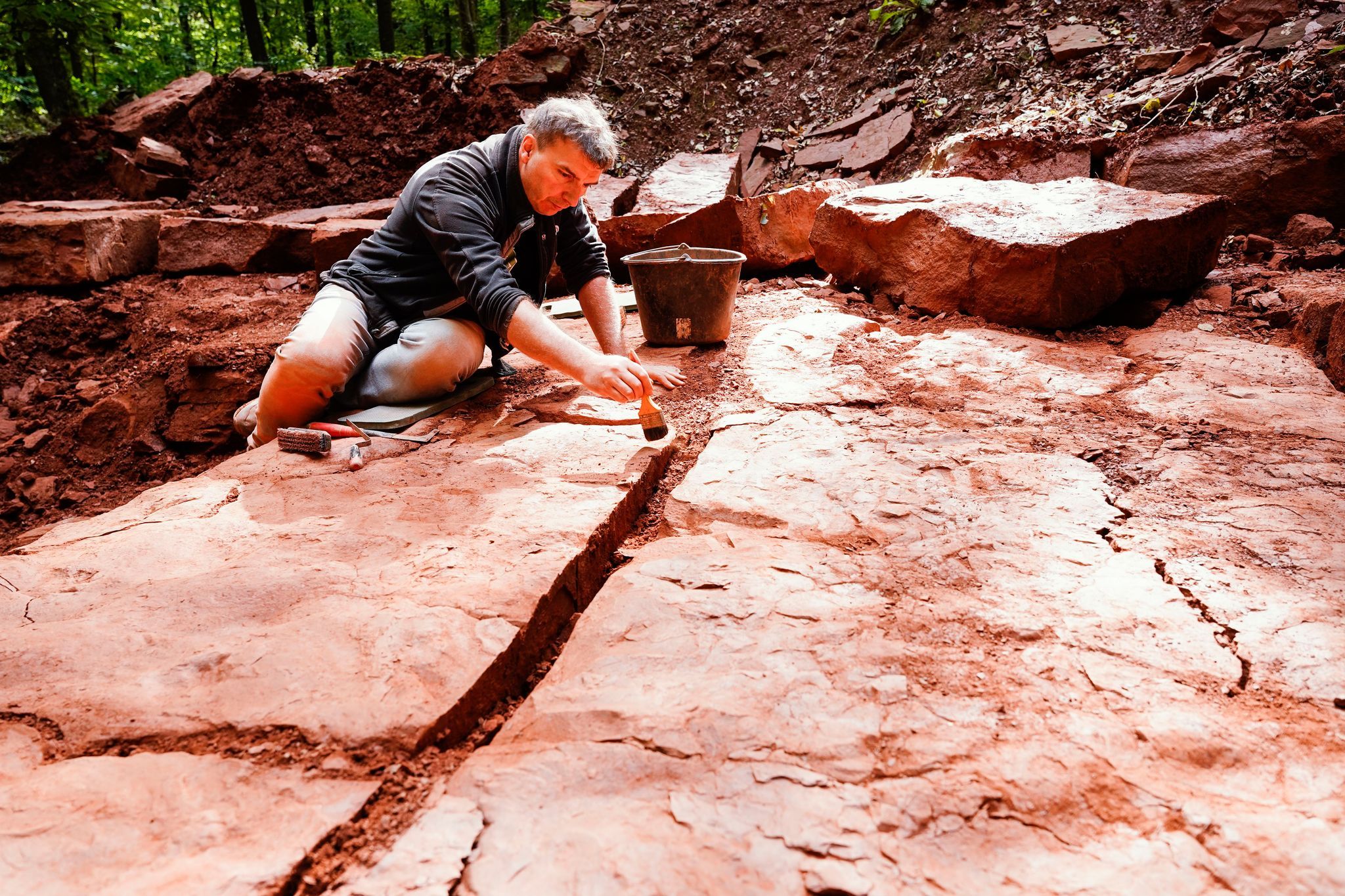 Spurensuche im Gestein - Forscher analysieren Fossilien