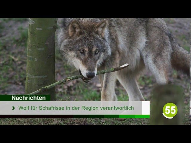 Die Top-Nachrichten des Tages | 30. Juli 2020