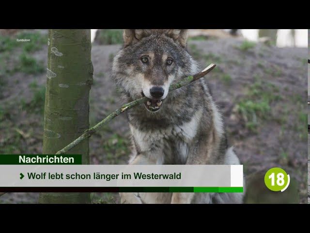 Die Top-Nachrichten des Tages | 3. August 2020