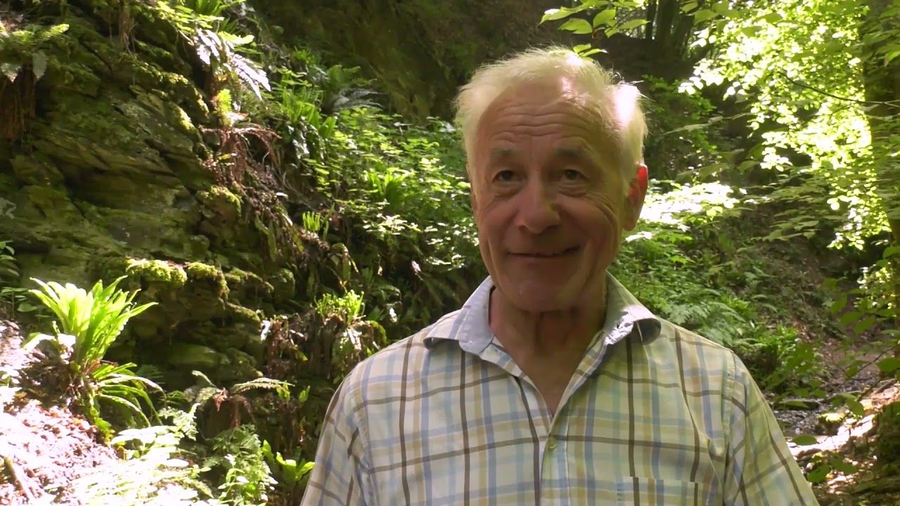Der Wasserfall in Singhofen