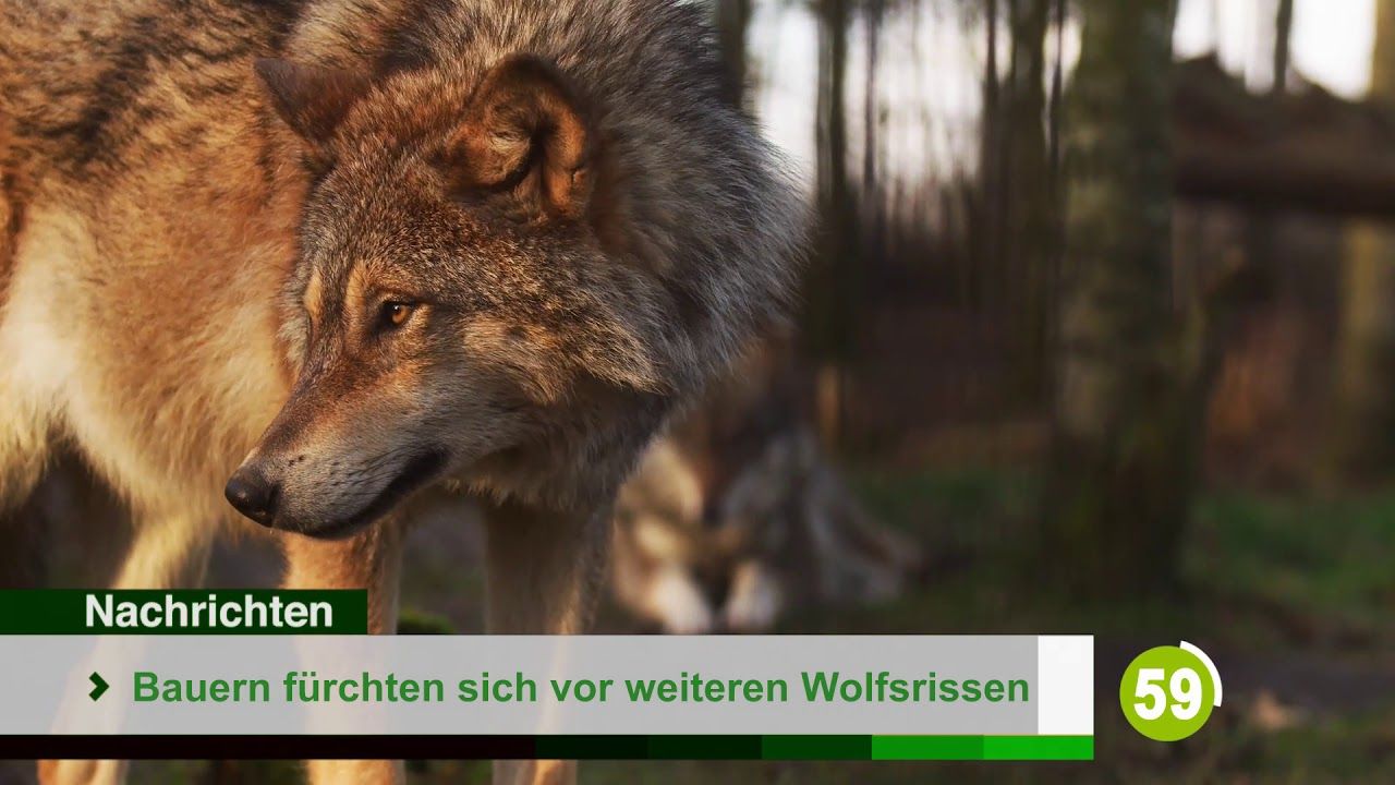 Die Top-Nachrichten des Tages | 09. März 2021