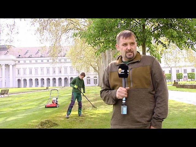 Alles rund um den Rasen und die Kräuterpflege im Sommer