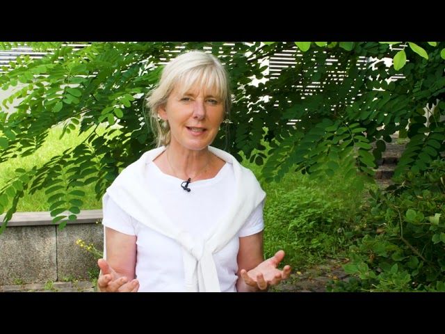 HeimART - die Kunst gut zu leben vom 3.7.2021