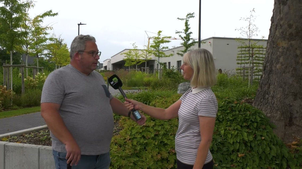 Die Hausbäume