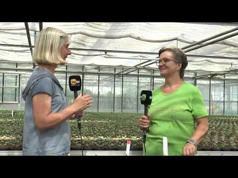 Alles rund um den Pflanzenschutz