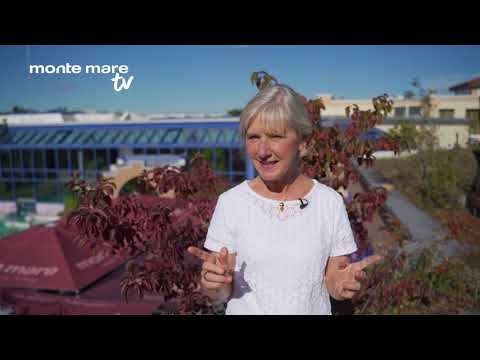 "monte mare TV"