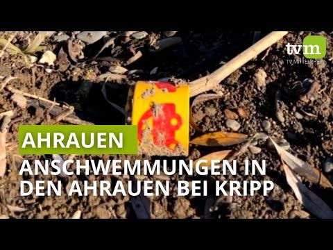 Anschwemmungen in den Ahrauen | 09.11.21