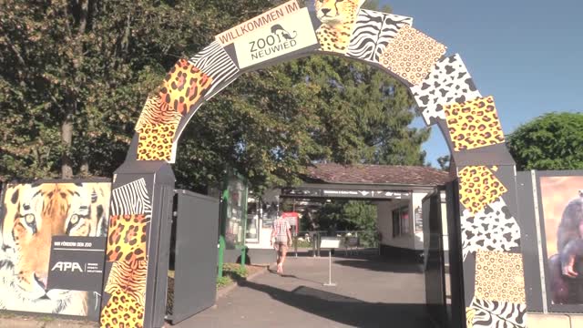 Mit den Bundesligaspielerinnen der Deichstadtvolleys im Neuwieder Zoo