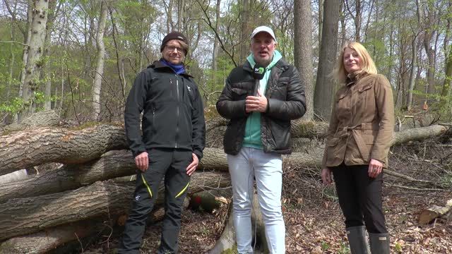 Bürgerinitiative empört über Baumernte im Stadtwald Koblenz